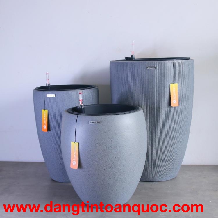 Bạn là người yêu cây xanh và luôn muốn mang thiên nhiên vào không gian sống của mình? Vậy thì chắc c