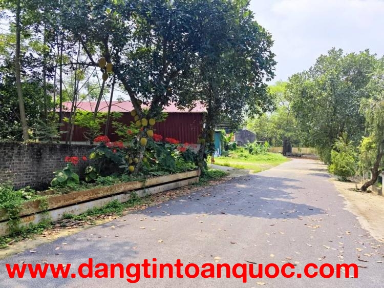 Sốc lô đất 101m2 Phú Cát view Hồ, khu vực trung tâm Hòa Lạc. Phù hợp xây trọ, đầu tư sinh lời, kết n