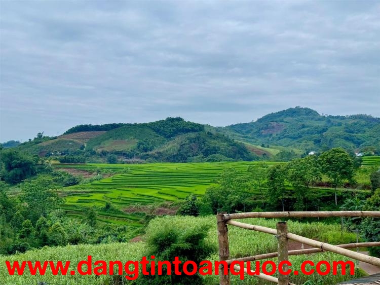 Bán đất view ruộng bậc thang diện tích 1060m tại cao phong, hoà bình cách hà nội