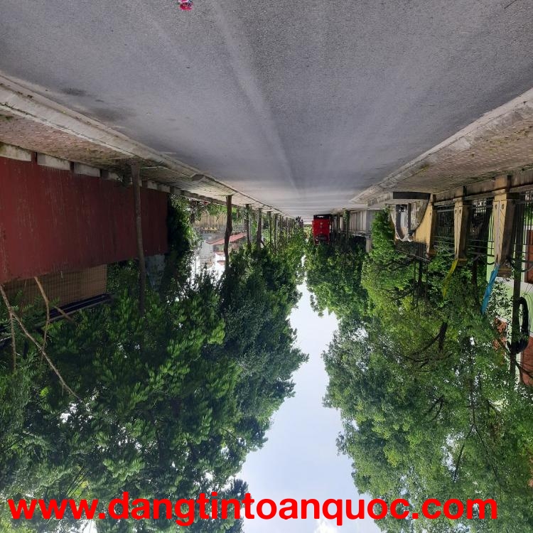 Bán đất 81m2 Thuận An Gia Lâm lô góc mặt tiền 20m đường lớn ô tô tránh ????  0989894845 ????