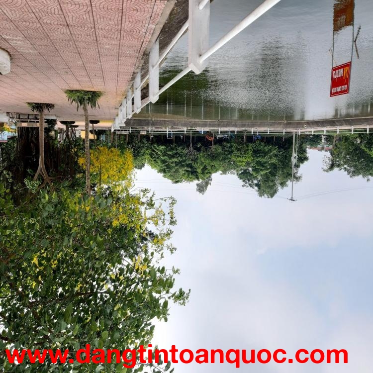 ???? Lô góc 84m2 Thuận An – gần Ỷ Lan, đường rộng, giá đầu tư ???? ????  0989894845 ????