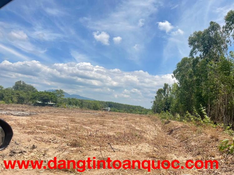 Bán gấp 3 Ha Tân Xuân - Hàm Tân giá rẻ nhất đường ô tô 1.5 tỷ/ ha