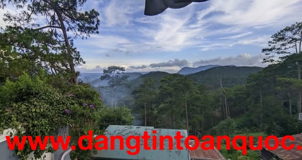 Bán biệt thự