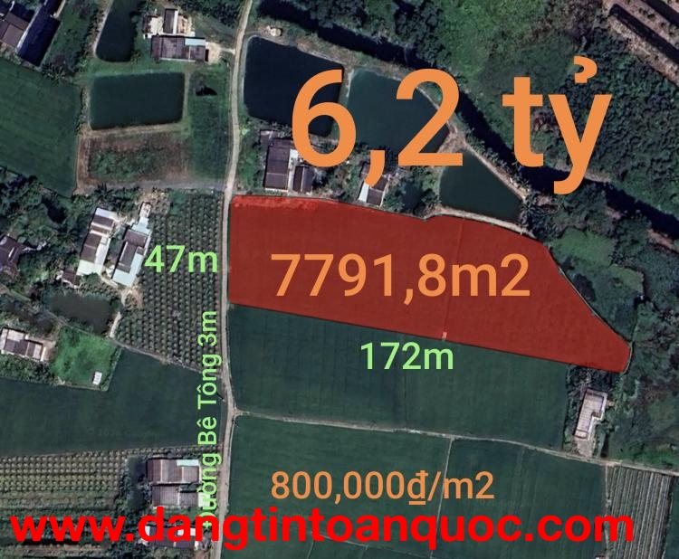Bán đất lúa chuyển thổ xã Vàm Cỏ gần Quốc Lộ 50B giá 6,2 tỷ