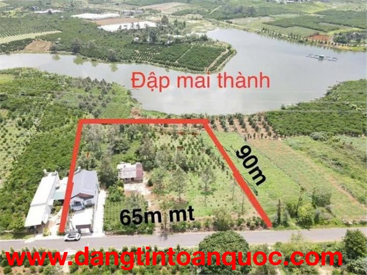 ĐẤT ĐẸP –GIÁ TỐT –CHÍNH CHỦ CẦN BÁN ĐẤT TẶNG NHÀ Đường Lê Thị Riêng, P. 3, TP. Bảo Lộc, Lâm Đồng