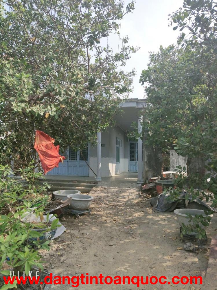 Chính chủ cần bán gấp nhà view sân vườn Tại Đường số 20 xã Đa Kai, Huyện Đức Linh, Bình Thuận.