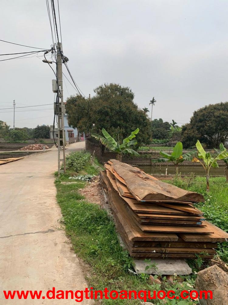 HOT !!! SỞ HỮU NGAY LÔ ĐẤT ĐẸP - GIÁ TỐT - Vị Trí Đắc Địa Tại Tam Đa, Phù Cừ, Hưng Yên