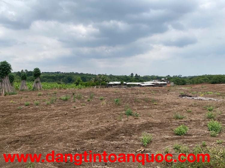 CHÍNH CHỦ BÁN LÔ ĐẤT GIÁ TỐT – PHÙ HƠP LÀM TRANG TRẠI - NHÀ VƯỜN