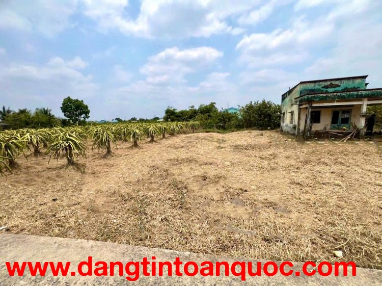 CHÍNH CHỦ BÁN GẤP LÔ ĐẤT DIỆN TÍCH LỚN – MẶT TIỀN RỘNG ĐẸP – GIÁ CHỈ 1,5 TỶ - NGAY ẤP CẦU ÔNG BỤI