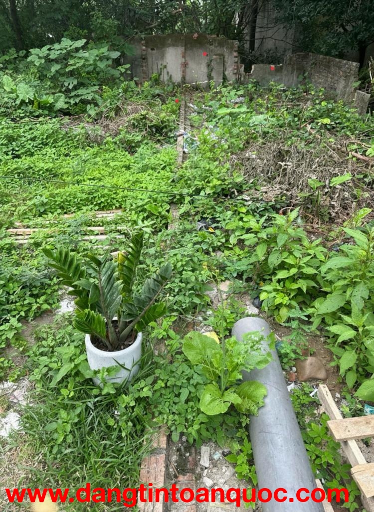 Bán đất Dương Đức Hiền Gia Lâm DT 42m2 sáng đưa con học chiều vài bước ra chợ Dòng tiền nhỏ ở sướng