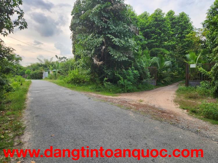 Cho thuê đất rộng 26.000m² tại xã Trung Lập Thượng, huyện Củ Chi