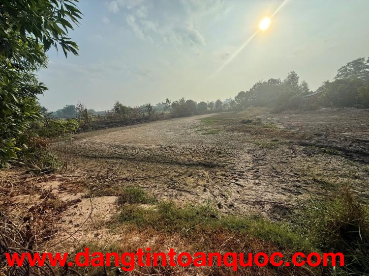 CHÍNH CHỦ BÁN ĐẤT DIỆN TÍCH LỚN – GIÁ TỐT TẠI ĐỨC HÒA, LONG AN