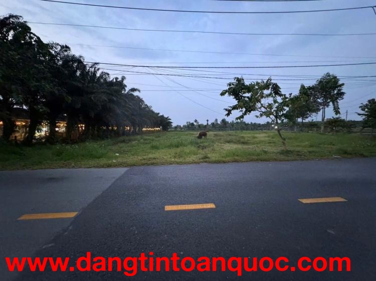 ĐẤT VÀNG 2 MẶT TIỀN VÕ VĂN ĐIỀU – QUỸ ĐẤT LỚN HIẾM CỦ CHI