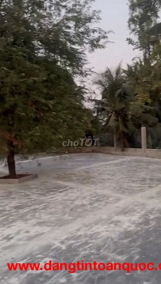 Mặt bằng đẹp mặt tiền lớn Nguyễn Cửu Phú cho thuê thích hợp cafe, dv