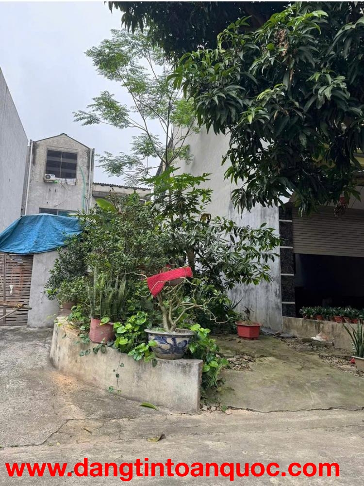 CHÍNH CHỦ BÁN ĐẤT ĐẸP KHU ĐỒI ÔNG TO – PHƯỜNG NÔNG TRANG, TP. VIỆT TRÌ, PHÚ THỌ