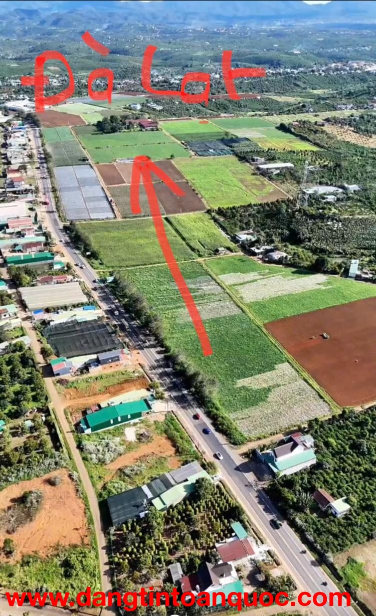 ĐẤT CHÍNH CHỦ - GIÁ TỐT Tại QL20 Xã Hòa Ninh, Huyện Di Linh, Tỉnh Lâm Đồng