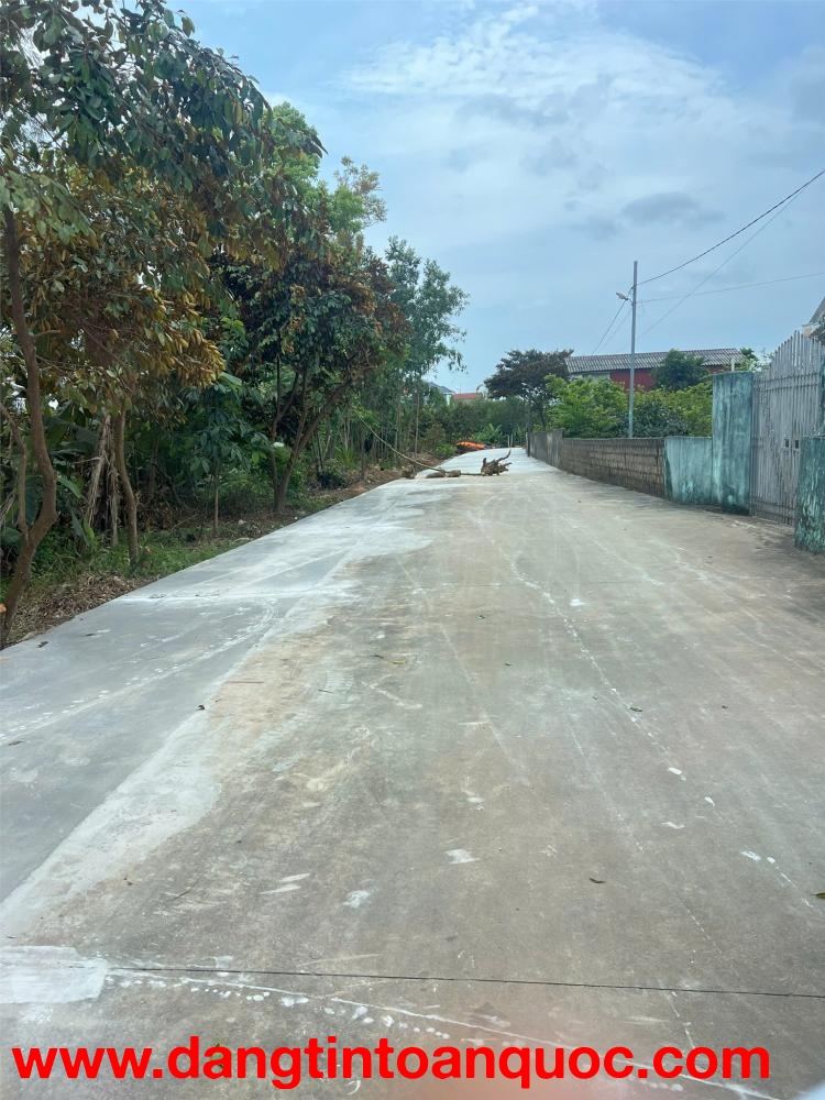 Đất Đẹp – Giá Tốt – Chính Chủ Cần Bán Lô Đất Tại Tiểu Khu Nam Tiến, TT.Nông Cống, Nông Cống, Thanh H