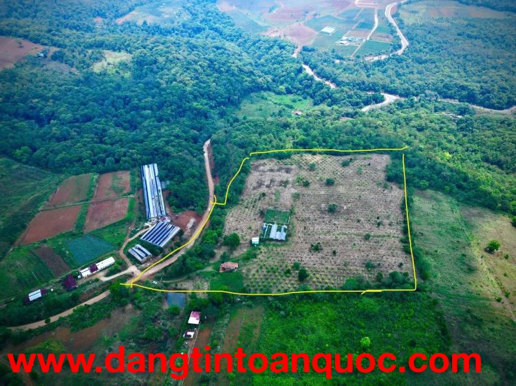 ANH CHỊ SẼ TRẢ GIÁ BAO NHIÊU ĐỂ ĐỔI LẤY 5ha ĐẤT VÀNG NÀY?