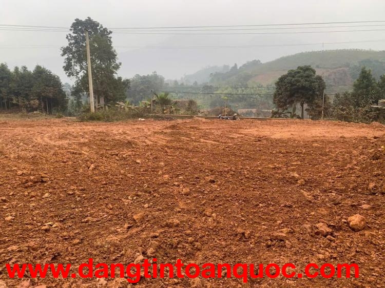 SIÊU PHẨM MẶT ĐƯỜNG QL279 – 2 LÔ ĐẤT ĐẸP TẠI XÃ NGHĨA ĐÔ, HUYỆN BẢO YÊN, TỈNH LÀO CAI