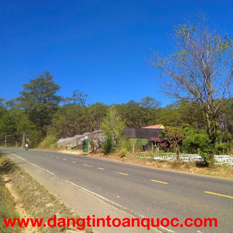 ĐẤT ĐẸP – GIÁ TỐT – CHÍNH CHỦ CẦN BÁN ĐẤT MẶT ĐƯỜNG QUỐC LỘ Tại Xã đa nhim huyện lạc Dương Lâm Đồng