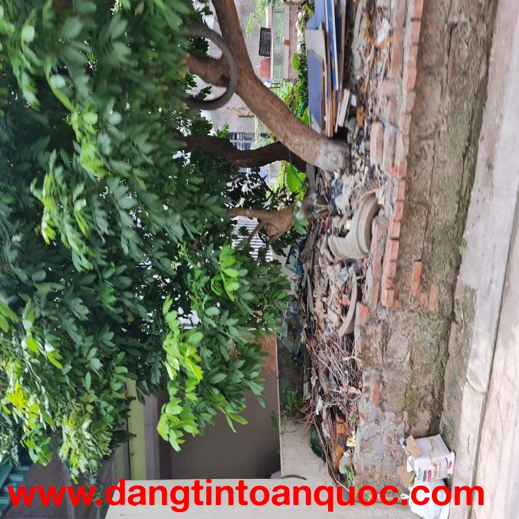62m2 đất ngõ phố kinh doanh Cửu Việt, Trâu Quỳ, Gia Lâm. 8 tỷ 0xx. Lh 0989894845