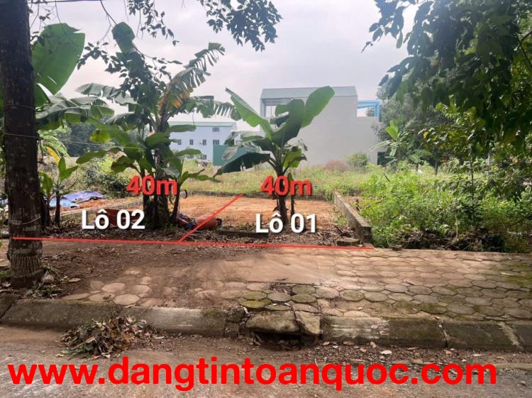 2 LÔ HOA HẬU TĐC ĐHQG HOÀ LẠC