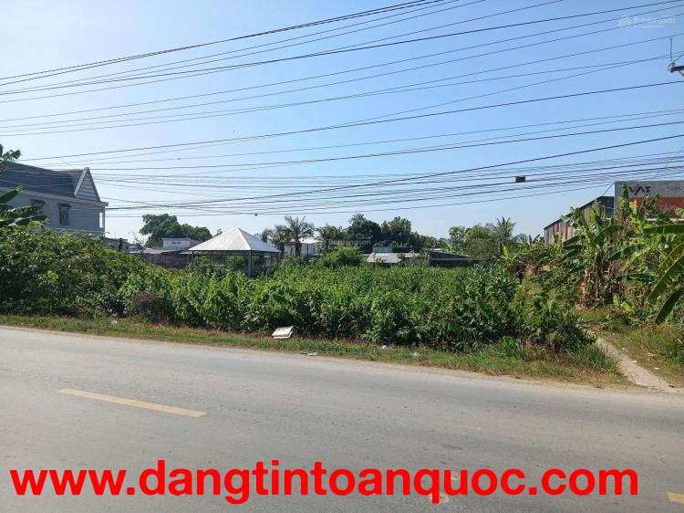 Bán Đất tại Quốc lộ 54, xã Lai Vung (xãTân Thành, Huyện Lai Vung) giá tốt chỉ với 4,1 tỷ