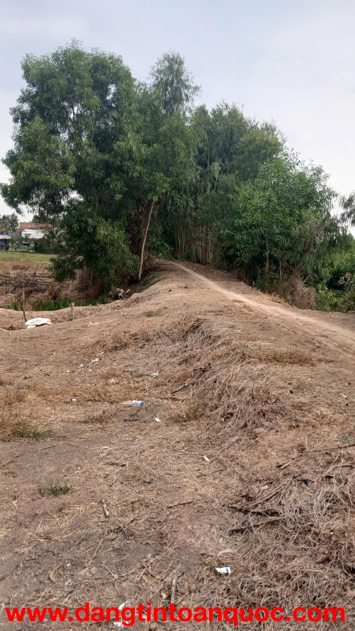 CHÍNH CHỦ CẦN BÁN GẤP ĐẤT ĐẸP – GIÁ TỐT – HUYỆN THẠNH HOÁ - LONG AN