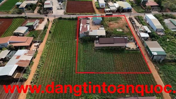 BÁN ĐẤT Ở BỒNG LAI - ĐỨC TRỌNG
