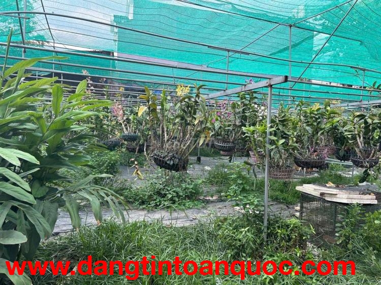 BÁN ĐẤT 2 MẶT TIỀN ĐƯỜNG DƯƠNG CÔNG KHI – DIỆN TÍCH LỚN – TIỀM NĂNG KHAI THÁC CAO