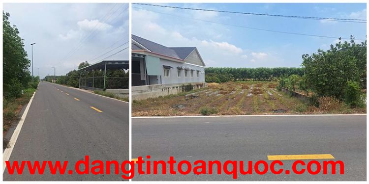 CHÍNH CHỦ BÁN GẤP ĐẤT NHỰA LỚN BAO THUẾ PHÍ TRUNG TÂM LONG CHỮ-BẾN CẦU-TÂY NINH