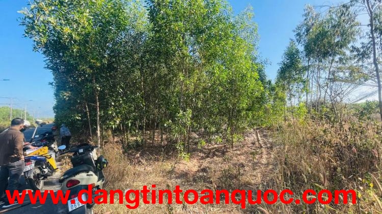 CẦN BÁN ĐẤT MẶT TIỀN  ĐƯỜNG NHỰA CHÍNH CHỦ – VỊ TRÍ TIỀM NĂNG NGAY CỤM CÔNG NGHIỆP SƠN MỸ - BÌNH THU
