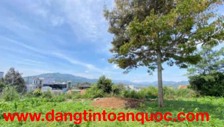 ĐẤT ĐẸP – GIÁ TỐT – CHÍNH CHỦ CẦN BÁN LÔ ĐẤT Tại Hẻm 01 Lữ Gia, Xã Lộc Châu, TP. Bảo Lộc, Tỉnh Lâm Đ