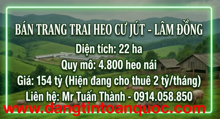 Siêu Trang Trại Heo 22ha - Thu Nhập cho thuê 24 Tỷ/Năm