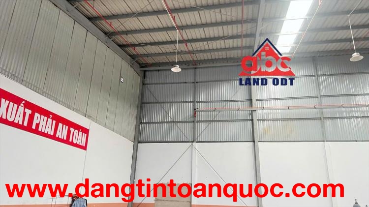 XT112 cho thuê nhà xưởng, khung thép kiên cố, sẵn sàng cho thuê ổn định lâu dài.