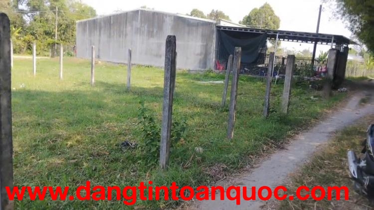 BÁN ĐẤT THỔ CƯ GIÁ TỐT – AN NINH ĐÔNG, ĐỨC HÒA, LONG AN