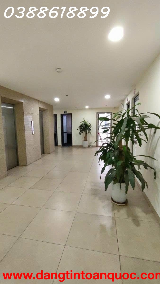 ???? TOÀ VP KHỦNG MẶT PHỐ HOÀNG CẦU, ĐỐNG ĐA - 410M2, MT 15M - 2 THANG MÁY, 1 HẦM - PCCC ĐẦY ĐỦ