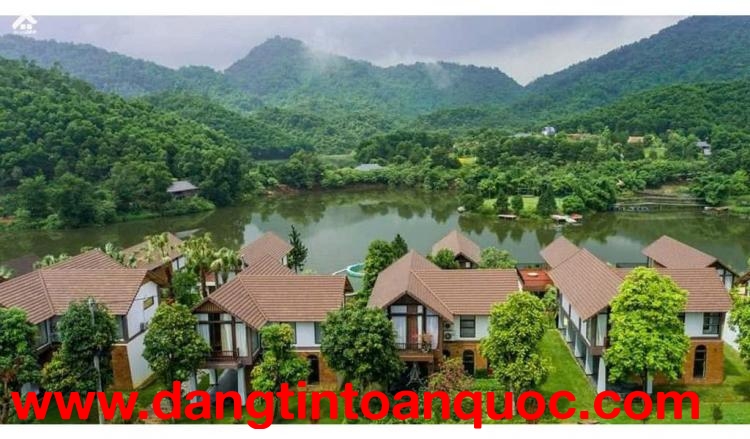 ???? CHỦ NGỘP BÁN GẤP 10.000M² ĐẤT VÂN HÒA GIÁ KHÔNG TƯỞNG ????