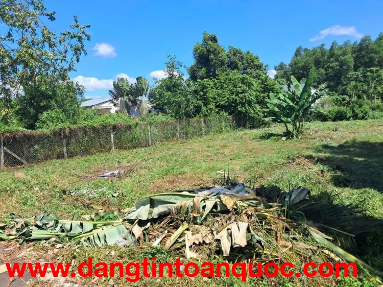 Cần bán đất tại trung tâm thị trấn Đất Đỏ, huyện Đất Đỏ, Bà Rịa - Vũng Tàu- nay Thuộc Thành Phố Hồ C