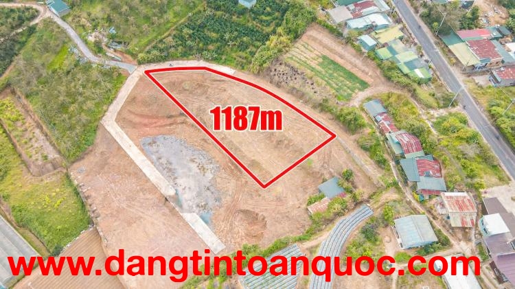 BÁN LÔ ĐẤT VIEW RỪNG THÔNG XUÂN THỌ -  PHƯỜNG XUÂN TRƯỜNG, ĐÀ LẠT