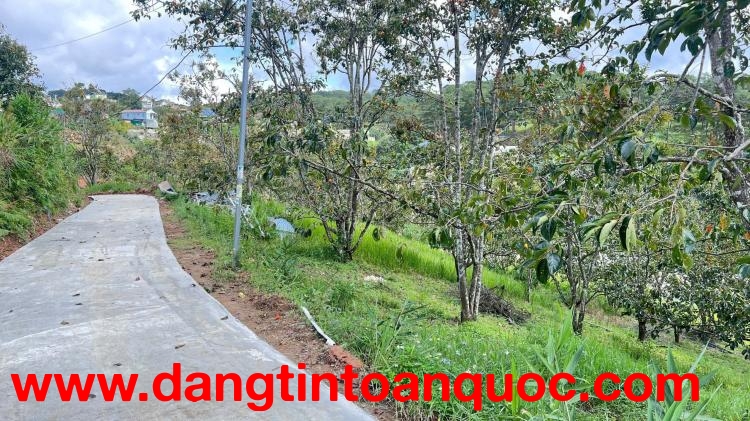 CẦN BÁN GẤP ĐẤT XUÂN THỌ – ĐÀ LẠT
