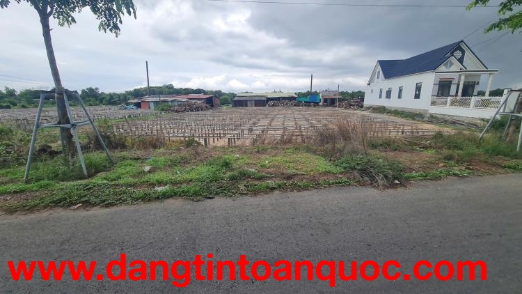 Bán 20m x 70m đất Mặt tiền Hùng Vương - Tân Bình - LaGi giá rẻ 300tr/m ngang