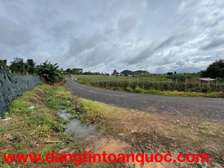 SIÊU PHẨM ĐẤT MẶT TIỀN ĐƯỜNG NHỰA – ĐỨC TRỌNG, LÂM ĐỒNG