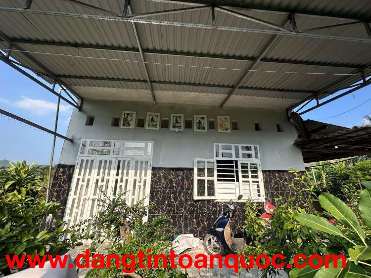 Ngộp bank cần sang lại nhà vườn tâm huyết đang ở GẤP 
* Giá : 3 TỶ1 ( TL)