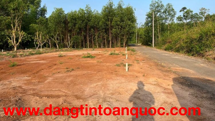 Bán đất tại Đường Tân Hiệp, Phước Thái, Long Thành, 1,3 tỷ, 90m2