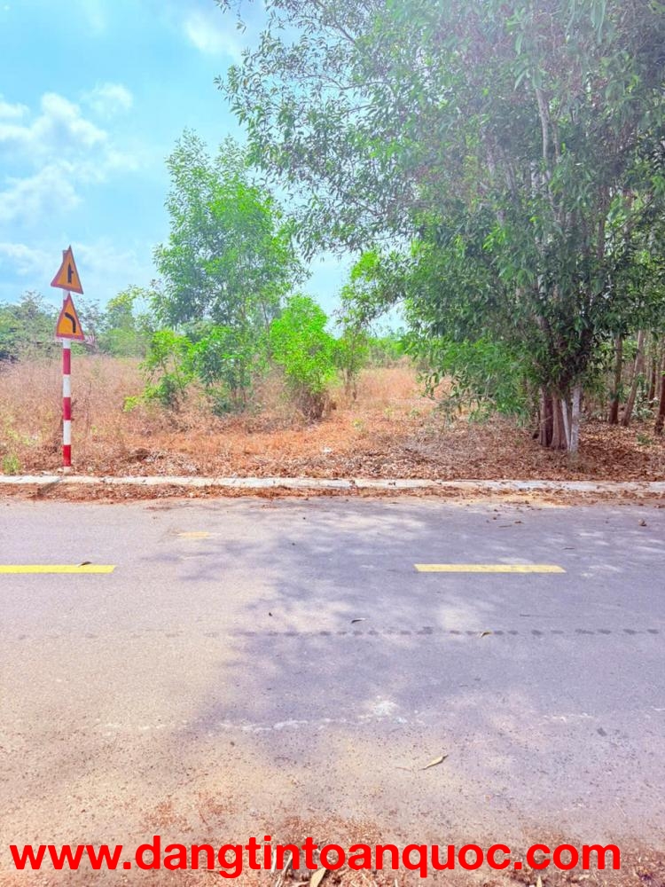 SIÊU PHẨM ĐẤT ĐẸP XUYÊN MỘC – BRVT (TP.HCM)