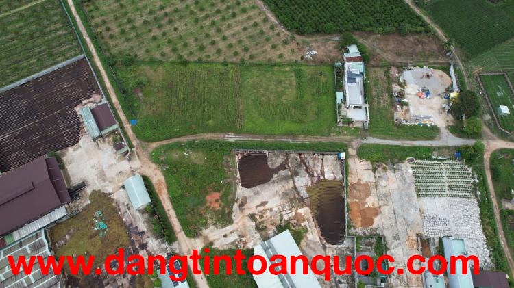 Vị trí 