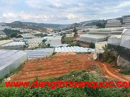 ► BÁN ĐẤT ĐẸP VIEW ĐÀ LẠT – DIỆN TÍCH LỚN, CÓ SẴN THỔ CƯ