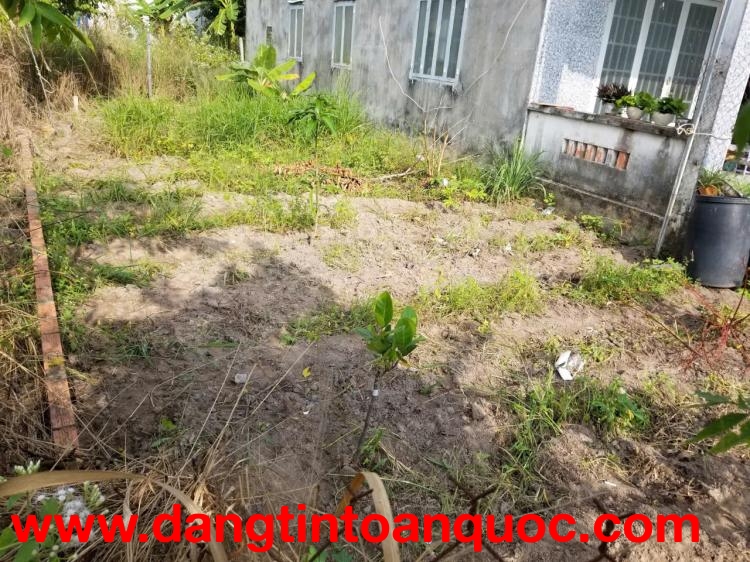 BÁN ĐẤT NỀN CHÍNH CHỦ GIÁ TỐT TẠI BÀU BÀNG – VỊ TRÍ ĐẸP, ĐƯỜNG BÀN CỜ, PHÙ HỢP XÂY NHÀ Ở HOẶC ĐẦU TƯ