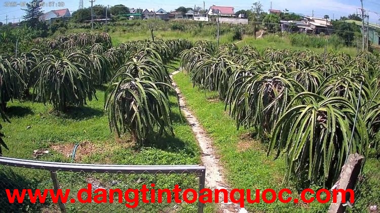 ĐẤT ĐẸP - GIÁ TỐT - CẦN BÁN NHANH LÔ ĐẤT VỊ TRÍ ĐẮC ĐỊA Tại HÀM THUẬN NAM, Bình Thuận